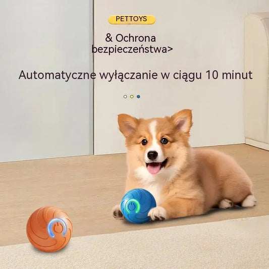 🐶 Kup 1, drugi GRATIS! Inteligentna piłka interaktywna dla psa – sama skacze i zajmuje pupila na dłużej 🎾