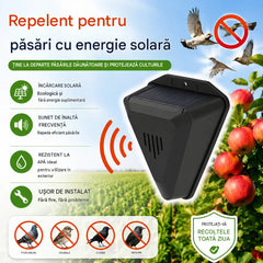 Un dispozitiv de descurajare a păsărilor cu temporizator va menține gazonul și curtea curate și fără excremente de păsări.
