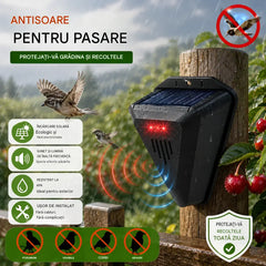 Un dispozitiv de descurajare a păsărilor cu temporizator va menține gazonul și curtea curate și fără excremente de păsări.
