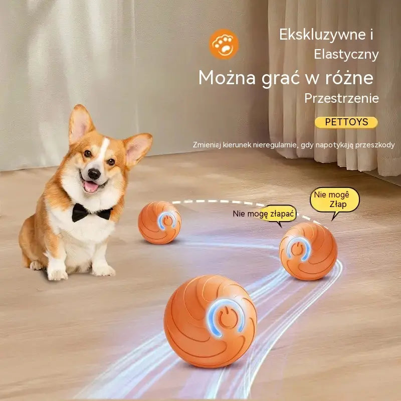 🐶 Kup 1, drugi GRATIS! Inteligentna piłka interaktywna dla psa – sama skacze i zajmuje pupila na dłużej 🎾